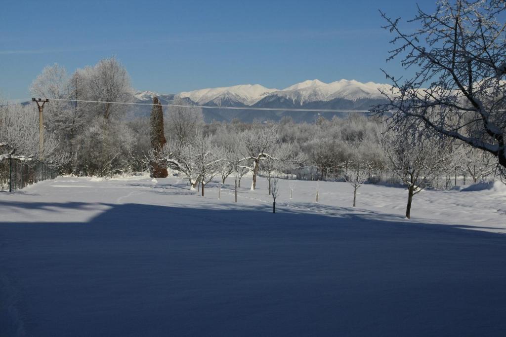 Skipension Jasna Павчина-Легота Экстерьер фото